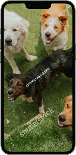 stock-photo-2180733755